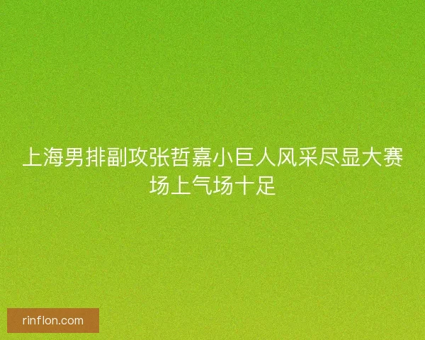 上海男排副攻张哲嘉小巨人风采尽显大赛场上气场十足 上海男排副攻张哲嘉小巨人风采尽显大赛场上气场十足